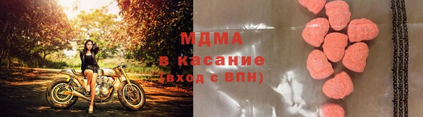 индика Новокубанск