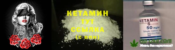ПСИЛОЦИБИНОВЫЕ ГРИБЫ Новозыбков