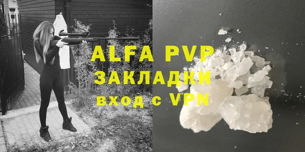 ПСИЛОЦИБИНОВЫЕ ГРИБЫ Новозыбков