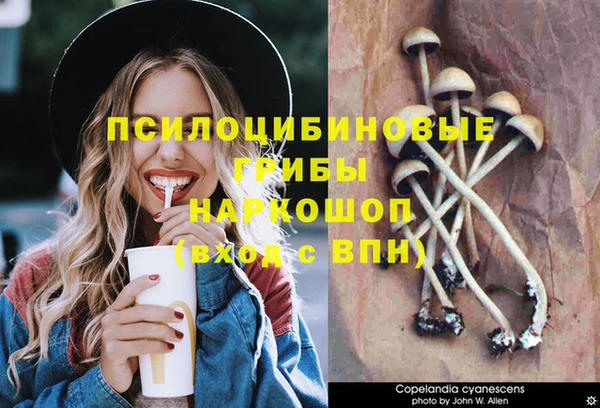 MDMA Premium VHQ Абаза