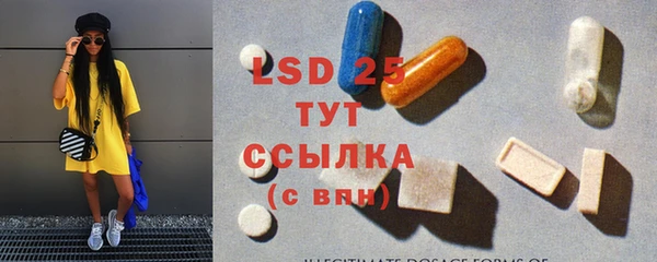 индика Новокубанск